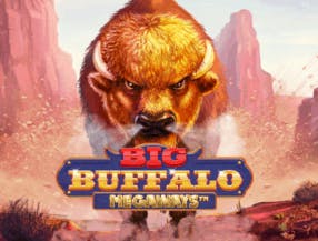 game logo by Skywind Group on vegasinobe.com
