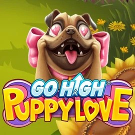 game logo by RubyPlay on vegasinobe.com